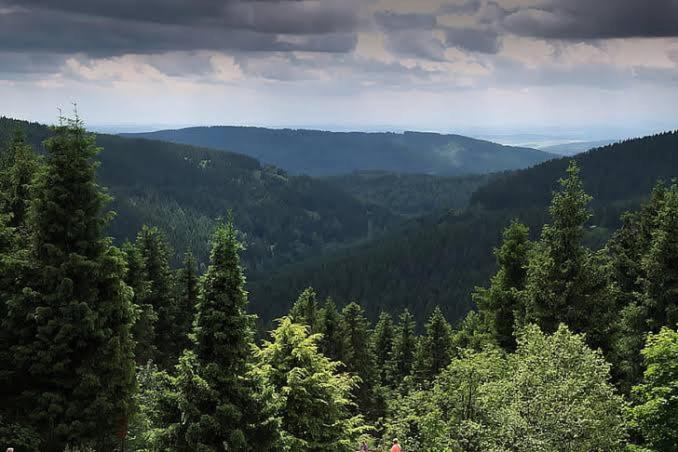 The Nature Dreams I Vacations I Conference I Mice I Family Events I Open Air Terrace I Sky Bonfire I Kufri By Exotic Stays Šimla Exteriér fotografie