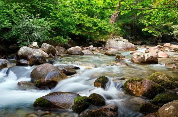 The Nature Dreams I Vacations I Conference I Mice I Family Events I Open Air Terrace I Sky Bonfire I Kufri By Exotic Stays Šimla Exteriér fotografie