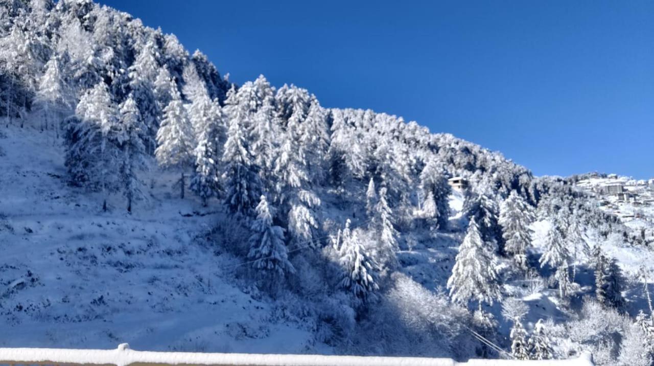 The Nature Dreams I Vacations I Conference I Mice I Family Events I Open Air Terrace I Sky Bonfire I Kufri By Exotic Stays Šimla Exteriér fotografie