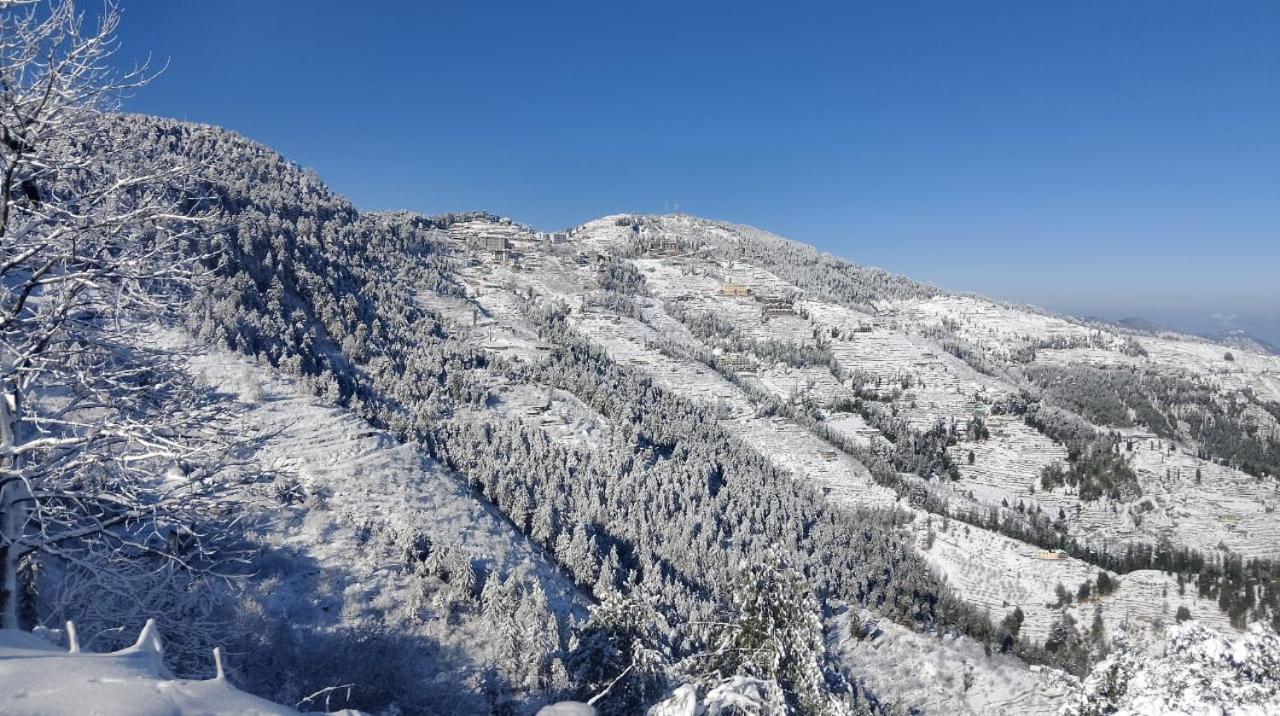 The Nature Dreams I Vacations I Conference I Mice I Family Events I Open Air Terrace I Sky Bonfire I Kufri By Exotic Stays Šimla Exteriér fotografie